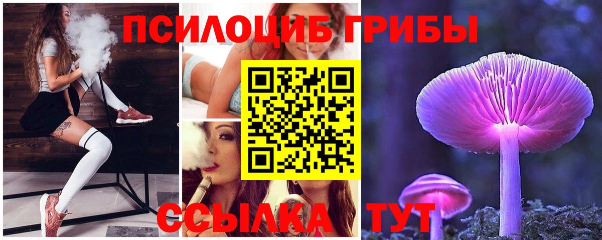 Ступино  Псилоцибиновые грибы Cubensis  Псилоцибиновые грибы Psilocybine cubensis  Вход с VPN 